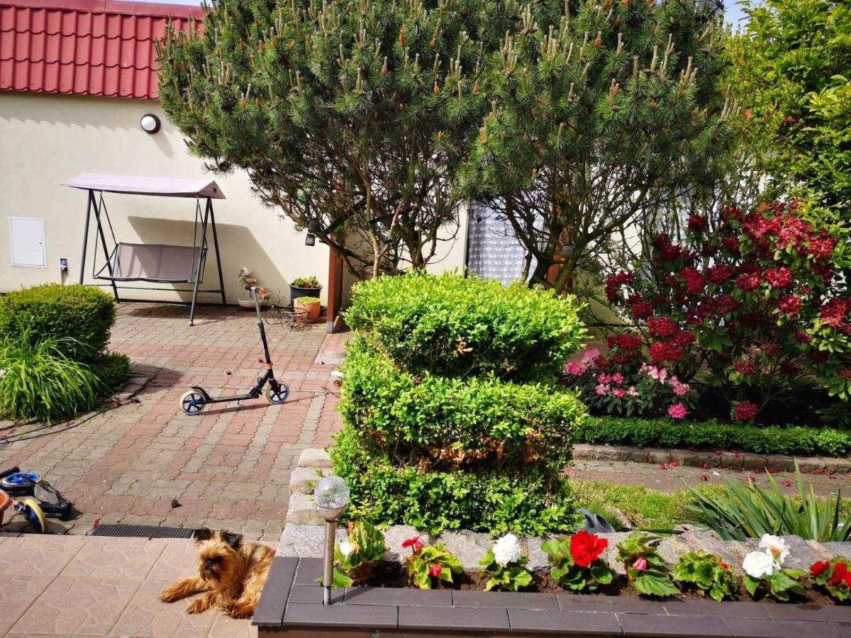 Willa Podkowa Grzybowo (West Pomeranian) Exterior foto